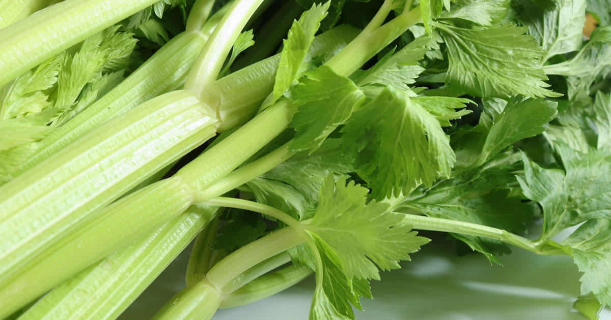 カリウムを含む野菜を食べよう！